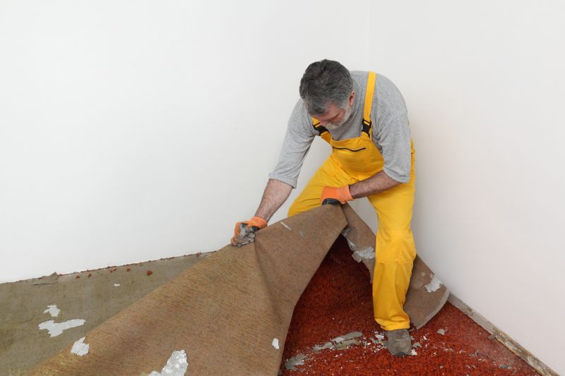 Carpet Removal
