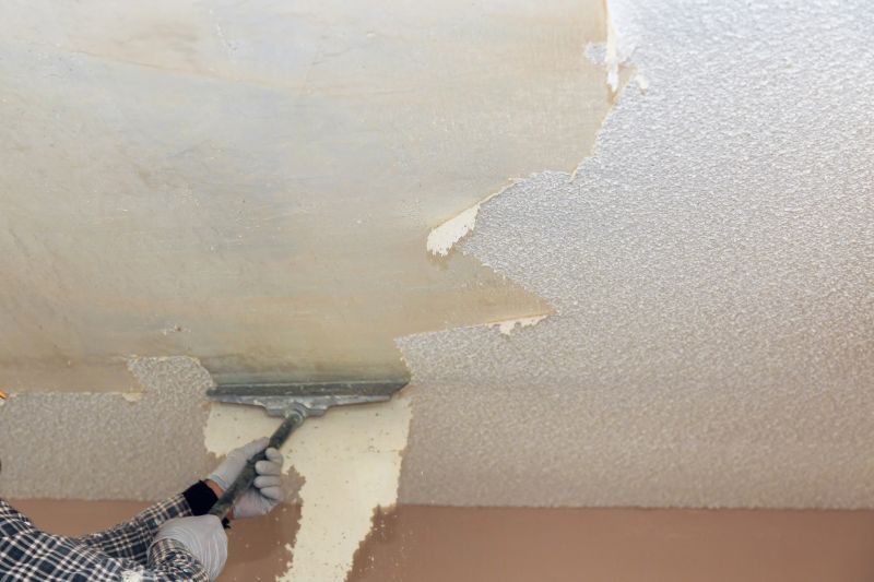 Drywall Removal