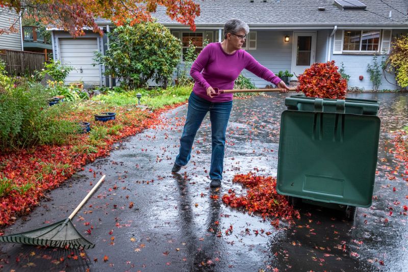 Fall Cleanup