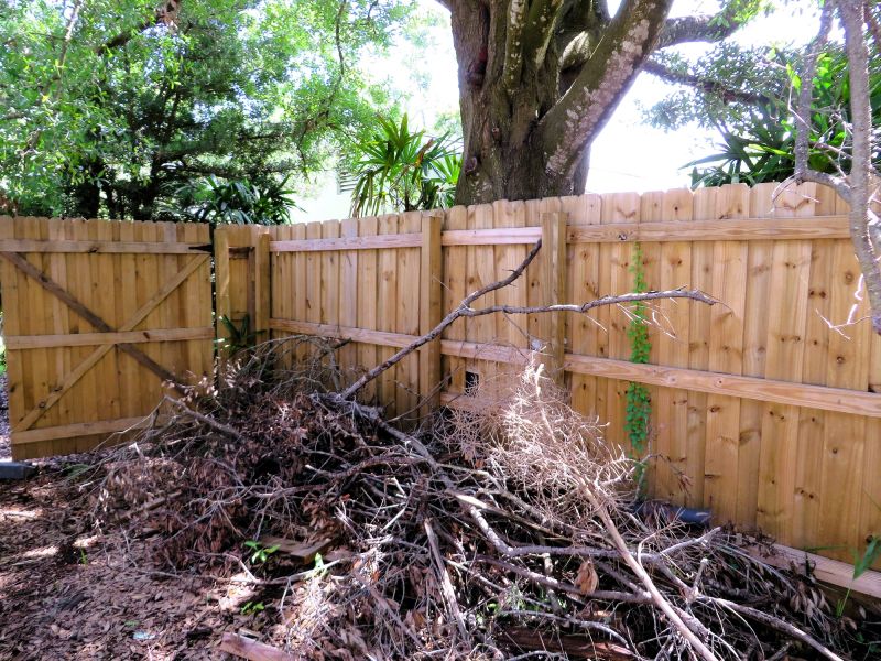 Fence Removal