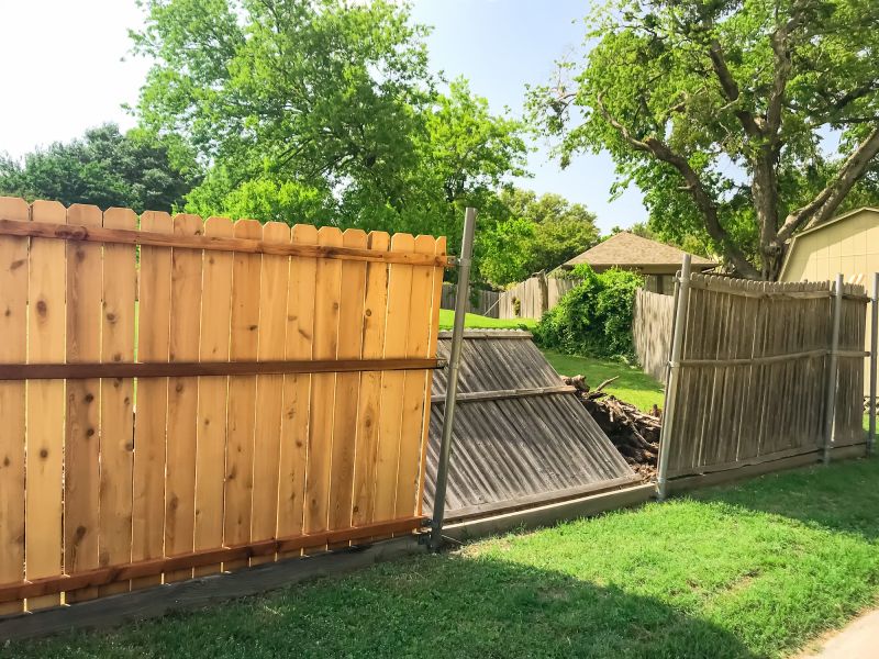 Fence Removal
