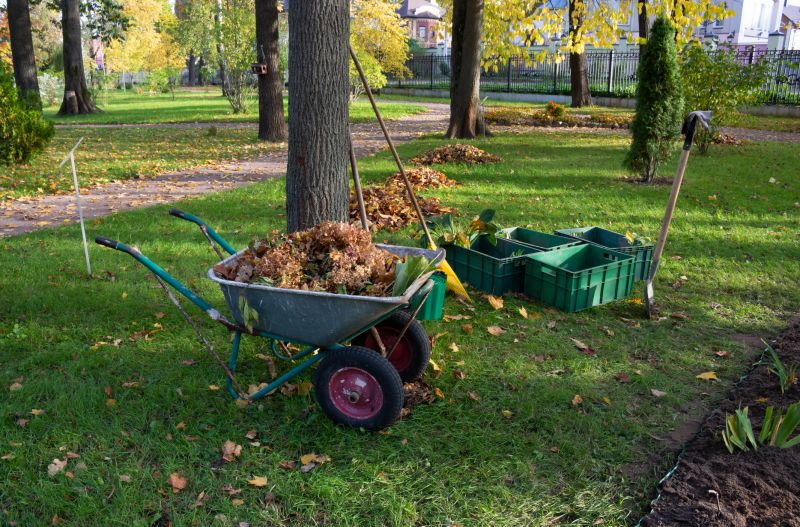 Landscaping Debris Removal