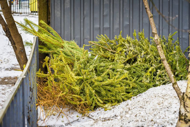 Landscaping Debris Removal