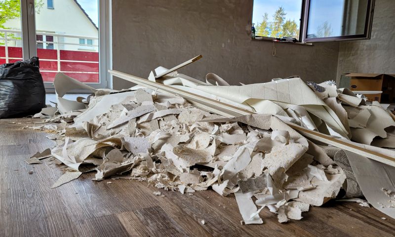 Renovation Debris Removal