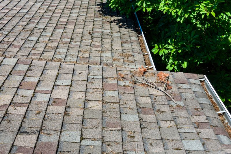 Roofing Debris Removal
