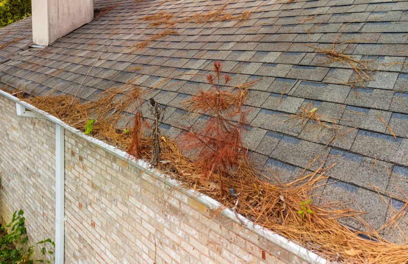 Roofing Debris Removal