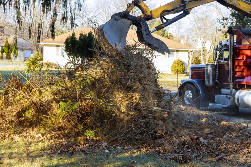 Storm Debris Removal
