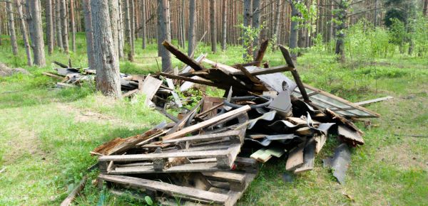 Professional Debris Removal Service