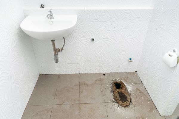 Professional Toilet Disposal